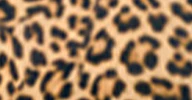 HALTER TURTLE FISHTAIL GOWN - Image 9